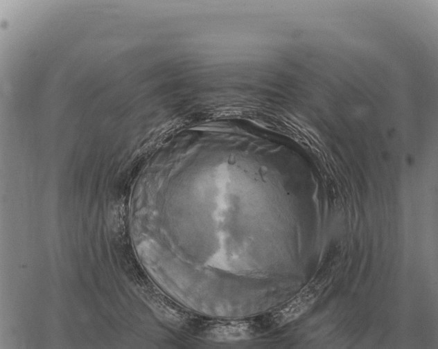 X0000066520369200603311800