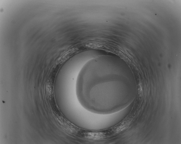 X0000066520371200603311800