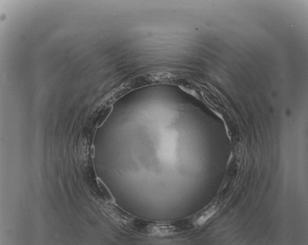 X0000066520372200603311800