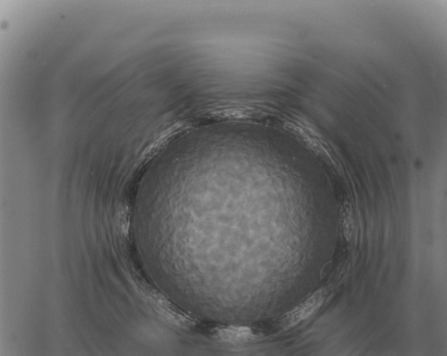 X0000066520374200603311800