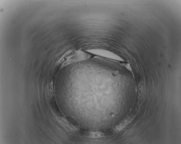 X0000066520376200603311800