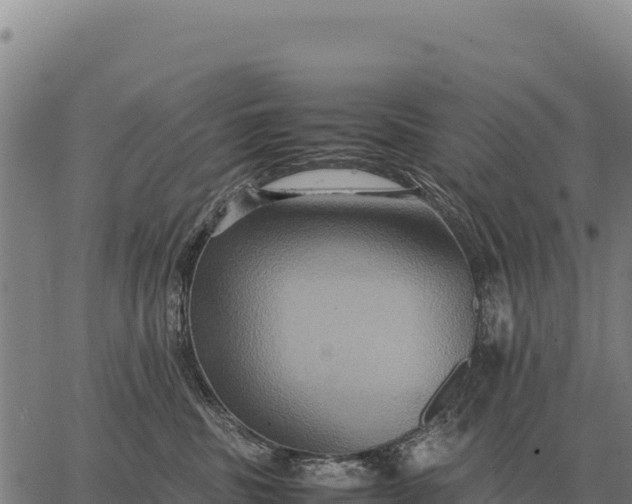 X0000066520379200603311800