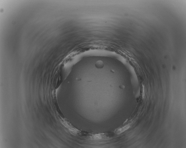 X0000066520382200603311800