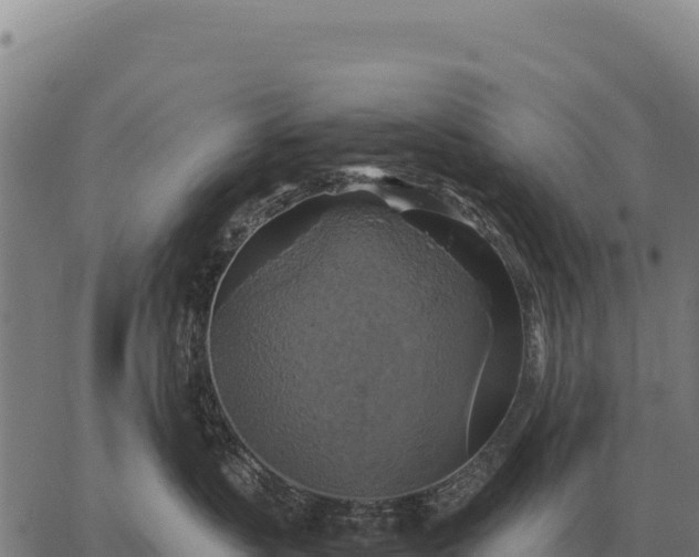 X0000066520383200603311800