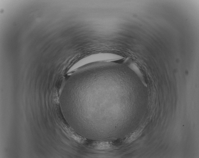 X0000066520384200603311800