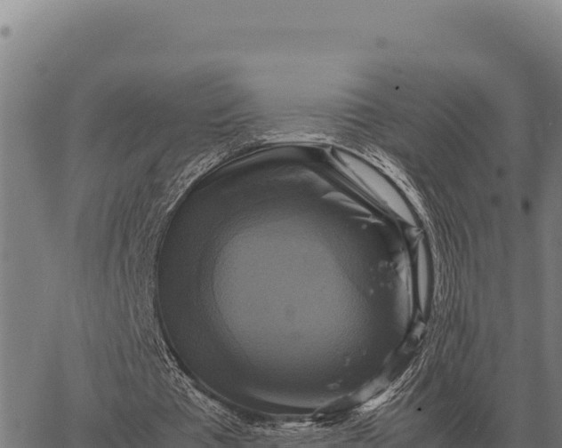 X0000066520385200603311800