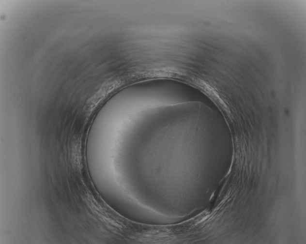 X0000066520386200603311800