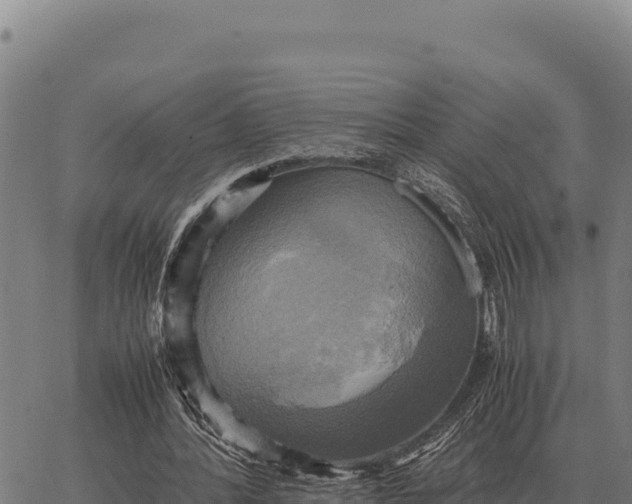 X0000066520388200603311800