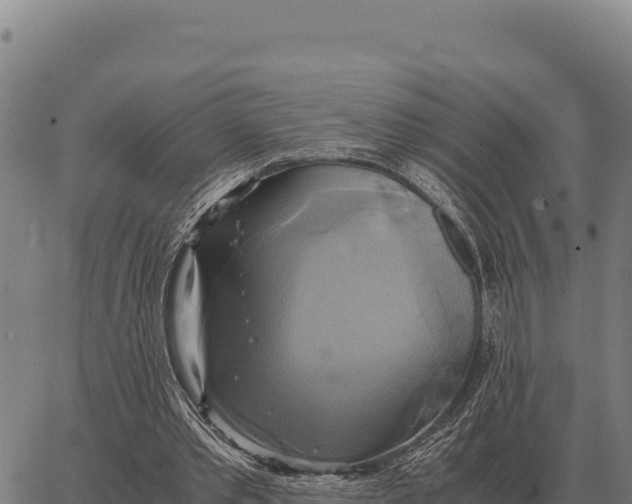 X0000066520389200603311800