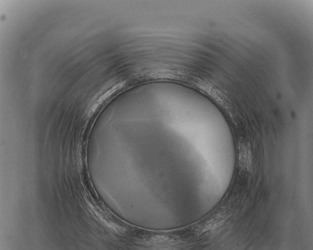 X0000066520390200603311759