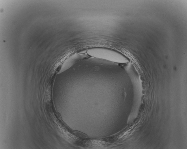 X0000066520393200603311759