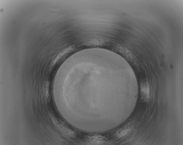 X0000066520396200603311759