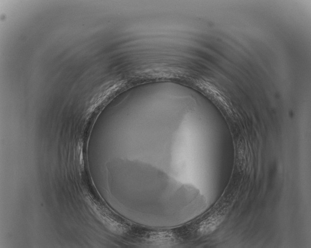 X0000066520398200603311759