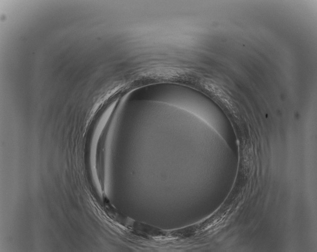 X0000066520399200603311759