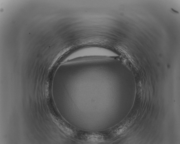 X0000066520400200603311759