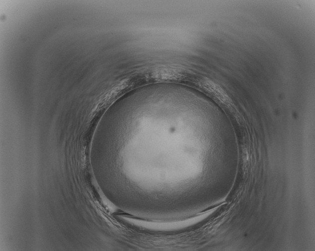 X0000066520401200603311759