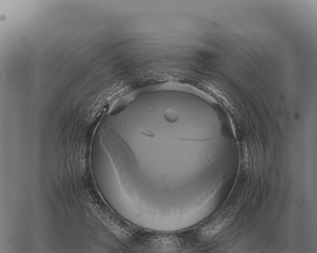 X0000066520402200603311759