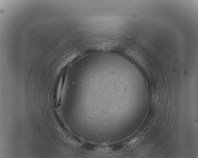 X0000066520403200603311759