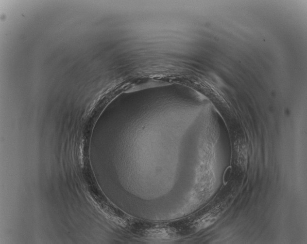 X0000066520404200603311759