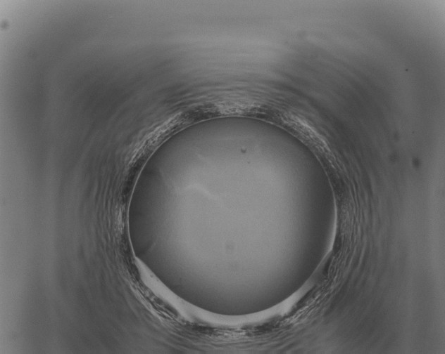 X0000066520405200603311759