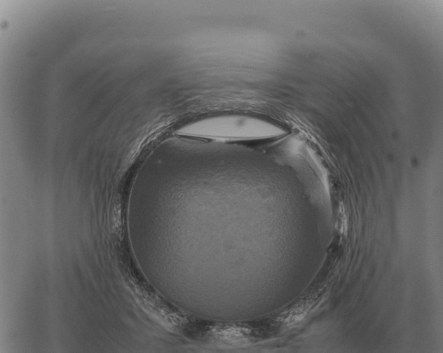 X0000066520407200603311759