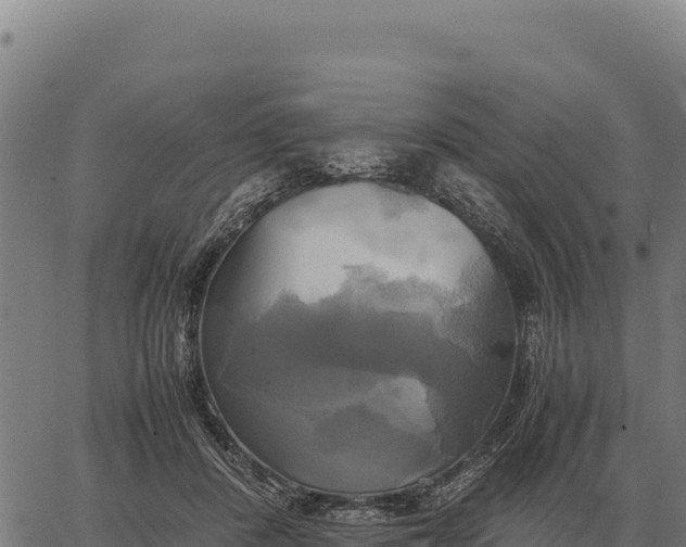 X0000066520408200603311759