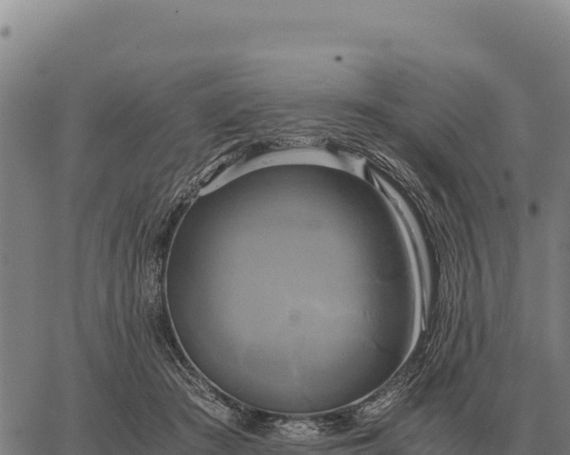 X0000066520409200603311759