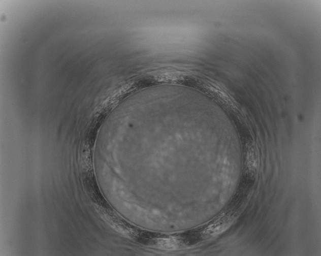 X0000066520411200603311759