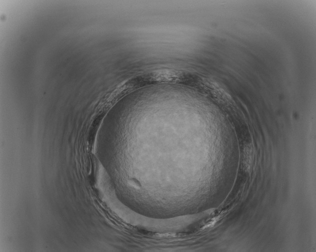 X0000066520413200603311759