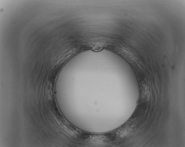 X0000066520414200603311759