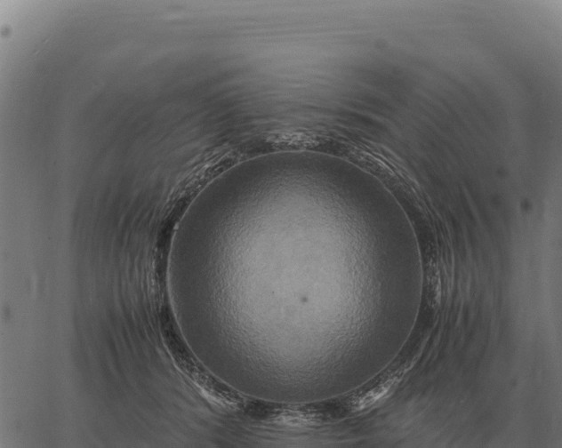 X0000066520416200603311759