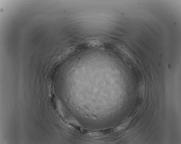 X0000066520417200603311759