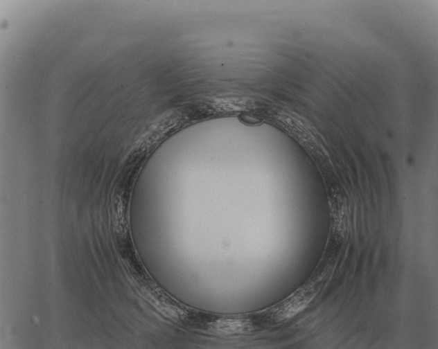 X0000066520418200603311759