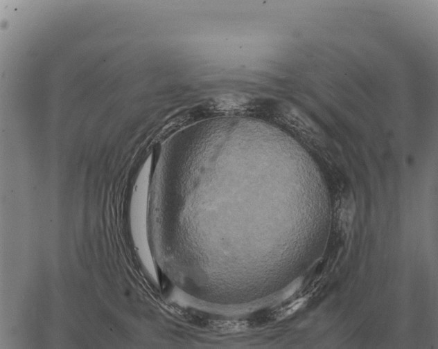 X0000066520421200603311759