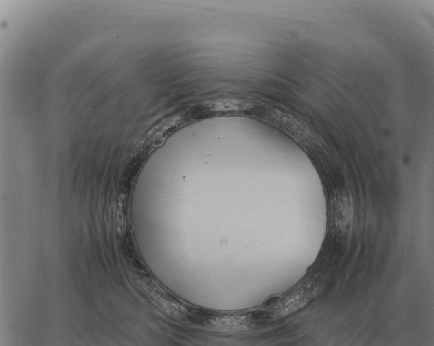 X0000066520422200603311759