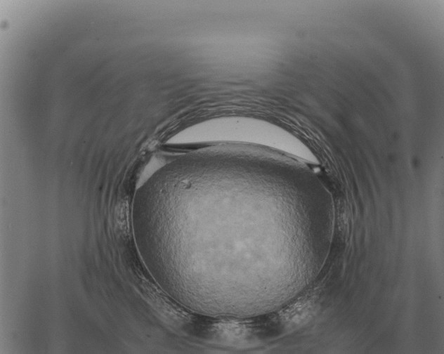 X0000066520425200603311759