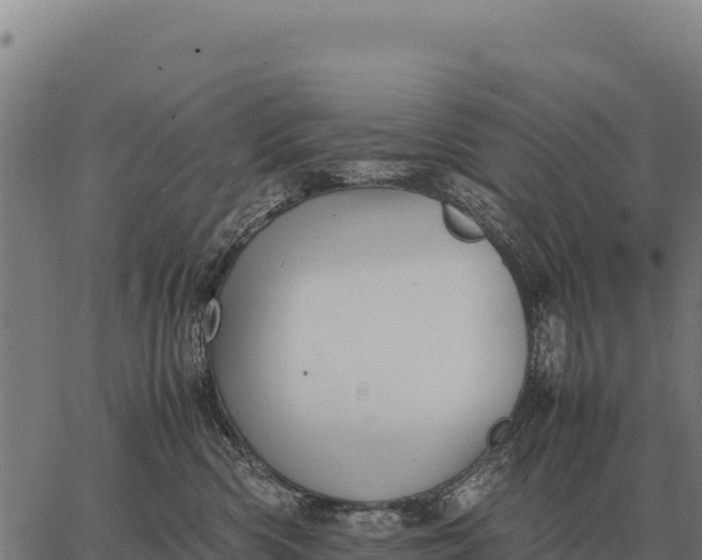 X0000066520426200603311759