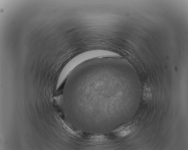 X0000066520428200603311759