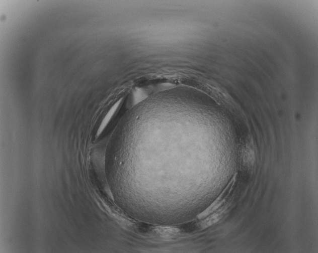 X0000066520429200603311759