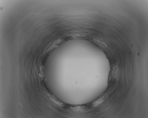 X0000066520430200603311759