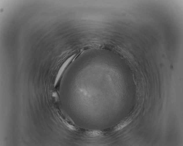 X0000066520432200603311759