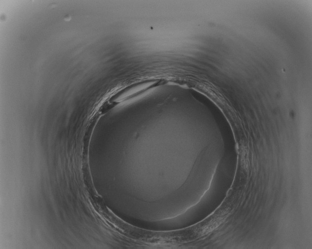 X0000066520434200603311758