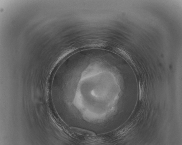 X0000066520435200603311758