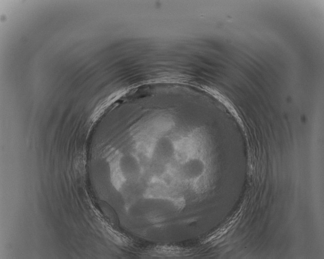 X0000066520437200603311758