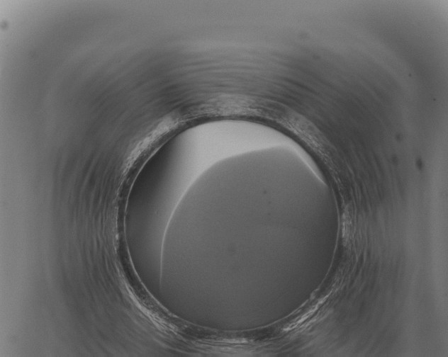 X0000066520438200603311758