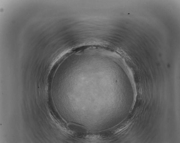 X0000066520440200603311758