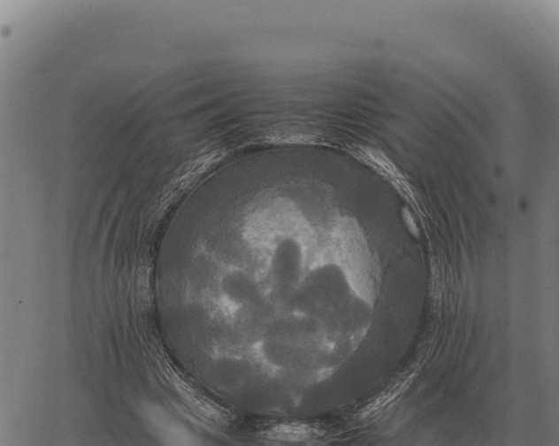 X0000066520441200603311758