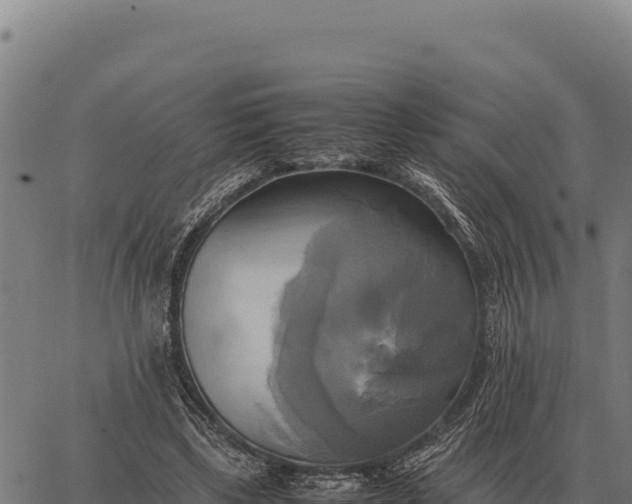 X0000066520443200603311758