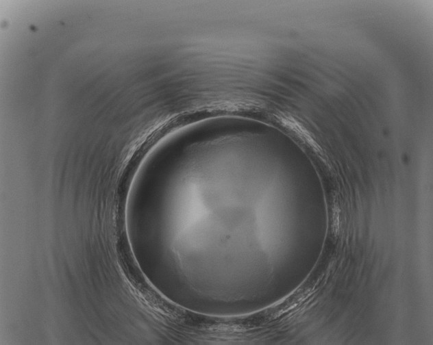 X0000066520444200603311758