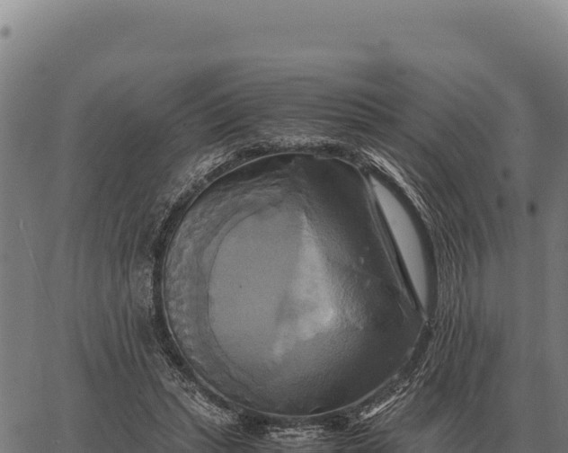 X0000066520447200603311758